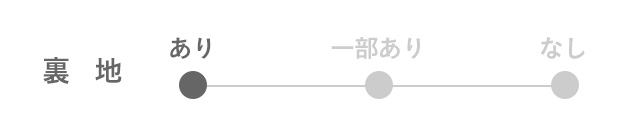 裏地あり
